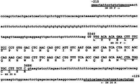 Nucleotide And Deduced Amino Acid Sequence Of The Thyroglobulin Tg