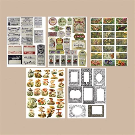 Printable Vintage Ephemera Collection Collage Sheet No01 Etsy