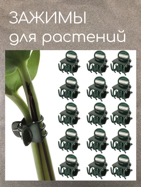 Клипсы для орхидей, зажимы для растений, держатели прищепки для цветов ...