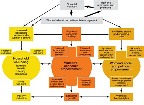 Figure 1 From Gender And Rural Microfinance Reaching And Empowering