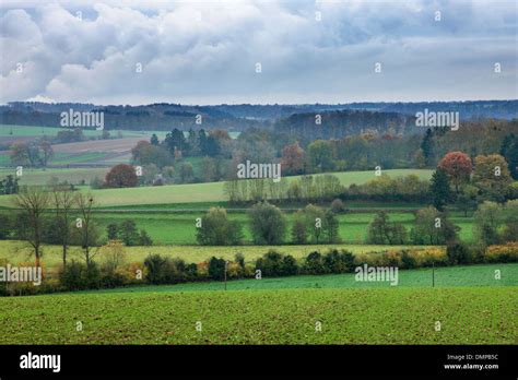 Paesaggio Rurale Delle Ardenne Belghe Che Mostra I Campi Prati Siepi