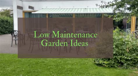 Low Maintenance Garden Ideas for Small UK Garden Spaces