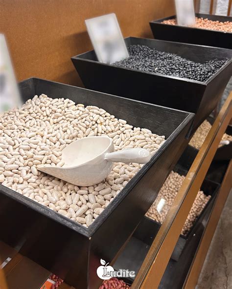 Ludite - 🫘 Hoje celebramos as leguminosas! 🫘 No Dia Mundial das