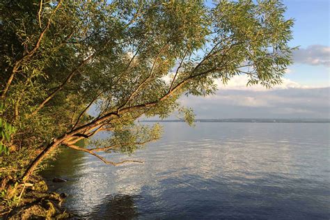 western finger lakes sanys