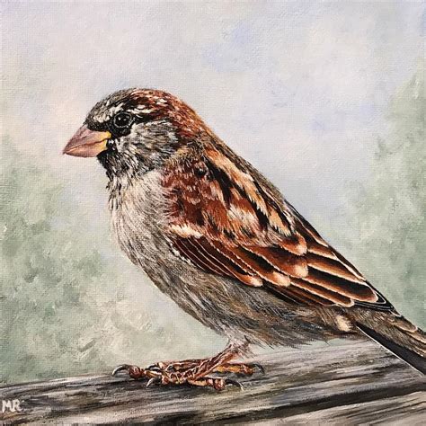 Sparrow On Bench Digital Art By Monique Van Reek Fine Art America