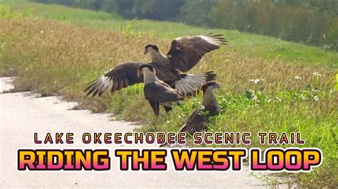 Lake Okeechobee Scenic Trail Riding The WEST LOOP YouTube