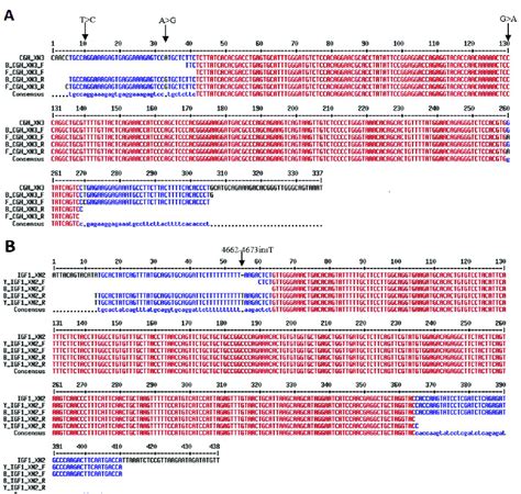 A Multiple Sequence Alignment Of Cgh Gene Exon And Flanking Intron