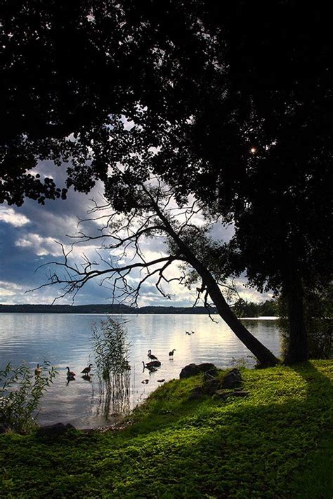 idyllisch | Schöne fotos, Fotografie, Bildbearbeitung