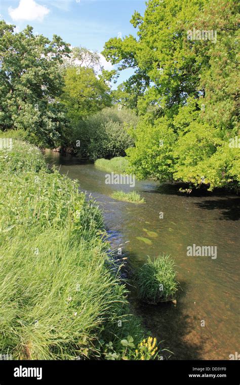 The River Mole At Mickleham Between Dorking And Leatherhead Surrey