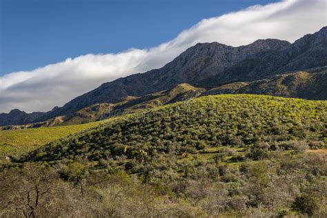 Farm In The Karoo With Old Rural Houses And The Swartberg Mountains In