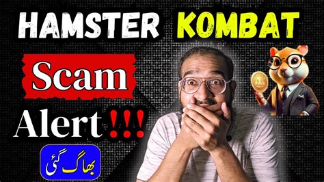 Hamster Kombat Scam Exposed Hamster Kombat Withdrawal Date