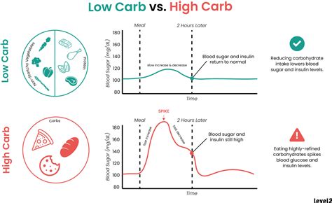 Low Carb Eating The Basics Level2