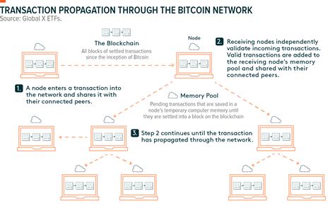 Bitcoin The Basics Global X Etfs