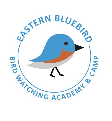 Eastern Bluebird - Bird Watching Academy