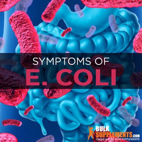 E Coli Infection Symptoms Causes And Treatment