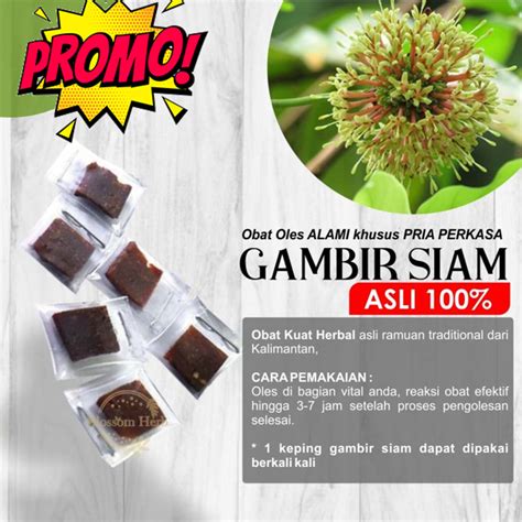 Jual Obat Oles Pria Herbal Gambir Siam Serawak Malaysia Asli 100