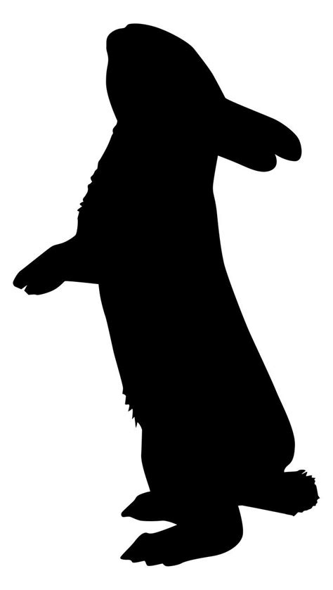 Image Result For Rabbit Silhouette Rabbit Silhouette Animal