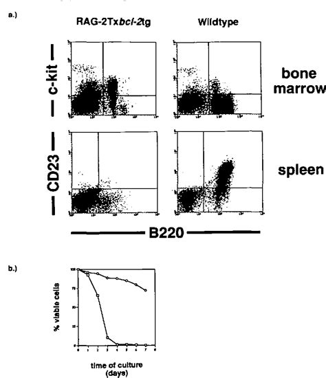 Figure 1 From Induction Of Sterile Transcription From The Kappa L Chain