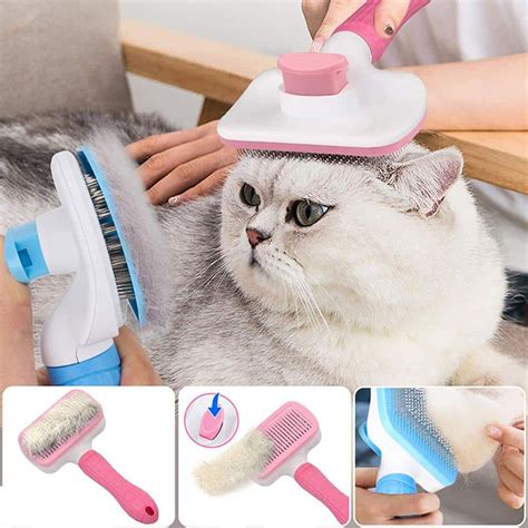 Brosse Chat Autonettoyante Pour Poils Chatounette