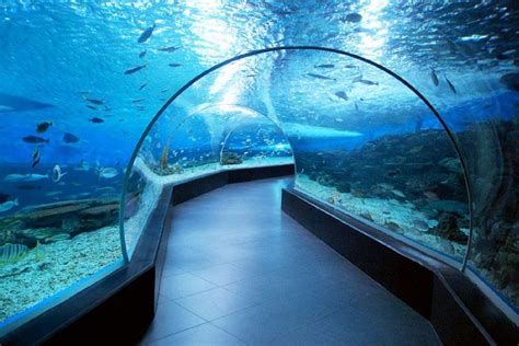 manila ocean park