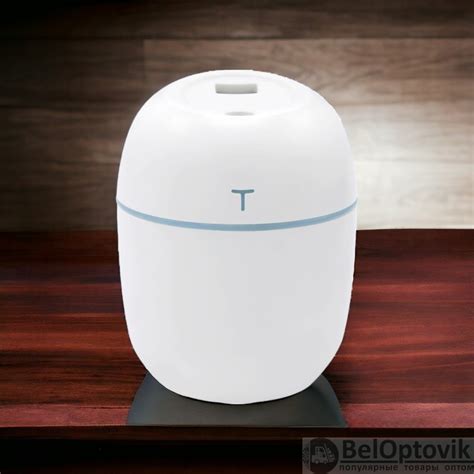 Светодиодный USB увлажнитель Egg с подсветкой (арт: 21001.03) от 544 ...