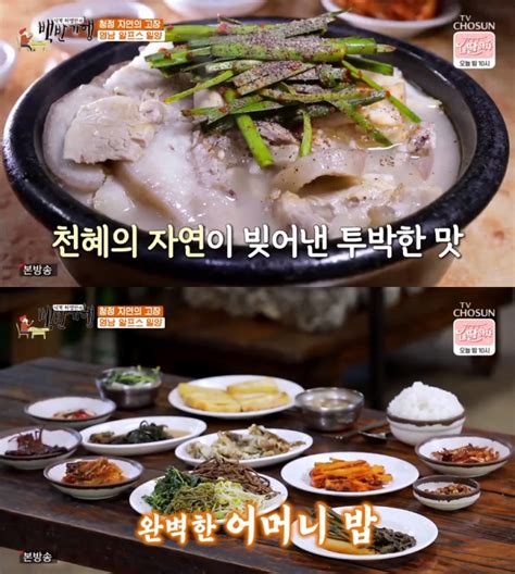 종합 ‘식객 허영만의 백반기행 밀양 맛집 닭볶음탕·닭국 소갈비·돼지갈비 돼지국밥 外 “윤미라와 함께” 장필구 기자