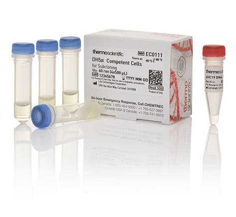 DH5α Competent Cells for Subcloning