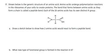 Answered 17 Shown Below Is The Generic Structure Of An Amino Acid