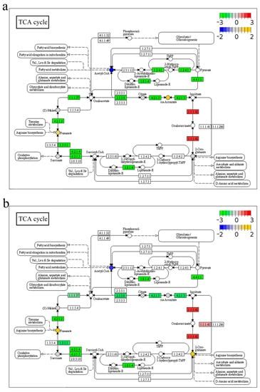 Ijms Free Full Text Integrated Analysis Of Transcriptome And