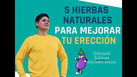 Hierbas Naturales Para Mejorar Tu Erecci N Youtube