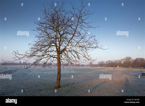 Freezing Temperatures Hi Res Stock Photography And Images Alamy