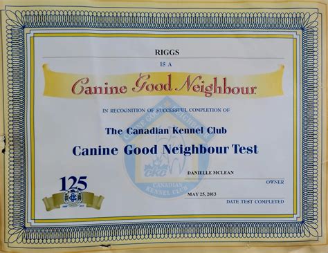 Our Team – Riggs - Soul Dog Synergy