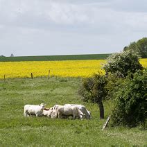 Volution Des Modes De Portage Du Foncier Minist Re De L Agriculture