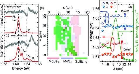 PDF Moiré Intralayer Excitons in a MoSe2 MoS2 Heterostructure