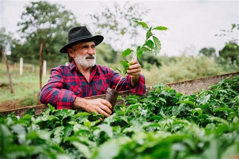 Retrato Do Agricultor Brasileiro Na Camisa Casual Na Fazenda Analisando