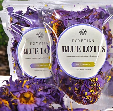 Organic Blue Lotus Flower Egyptian Blue Lotus 100% Natural Nymphaea ...