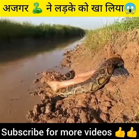 अजगर 🐍 ने लड़के को खा लिया 😱😱 Shorts Mrindianhacker Crazyxyz