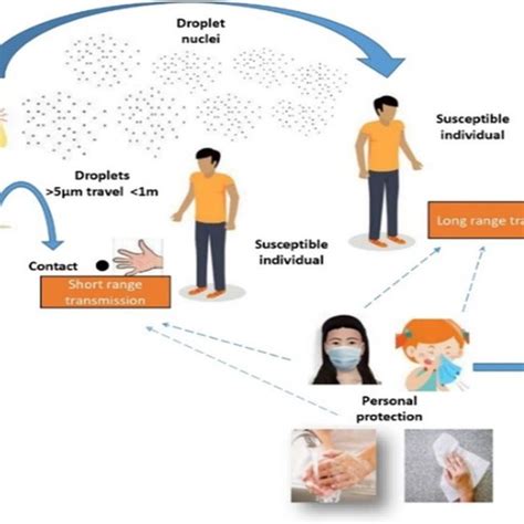 Bioaerosols sampling methods and identification by using different... | Download Scientific Diagram