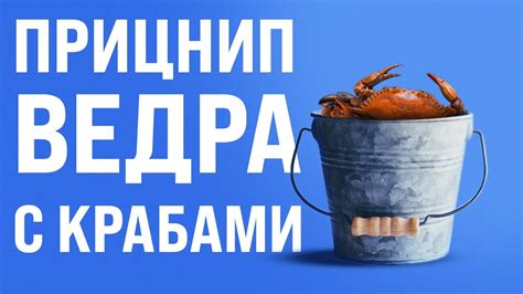 Принцип ведра с крабами - YouTube