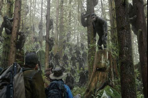 Photo du film La Planète des singes l affrontement Photo 22 sur 64