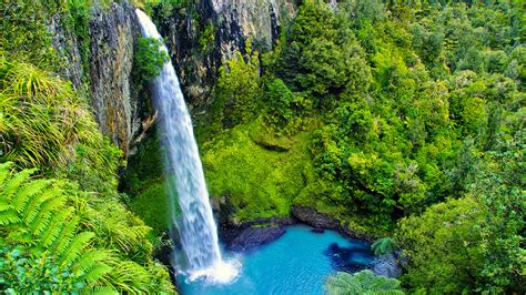 Hotels In Waikato New Zealand Find Waikato Deals Discounts Klook