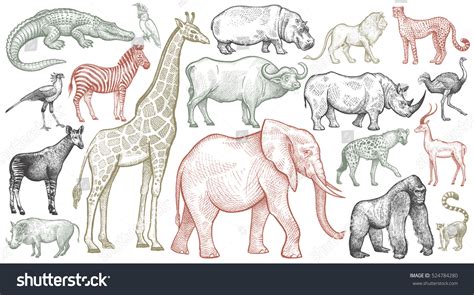 African Animals Set Elephant Giraffe Buffalo Stock Vector (Royalty Free ...