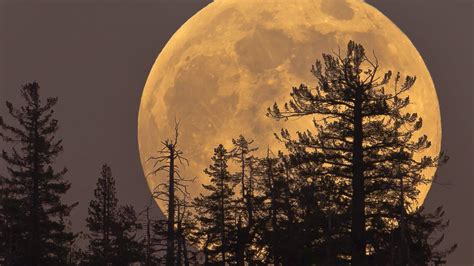 Superluna qué es la Luna de Nieve que se verá este martes