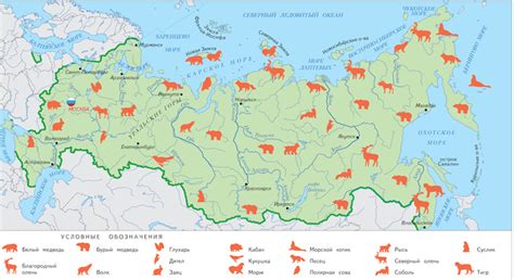 Карта россии с ареалом обитания животных