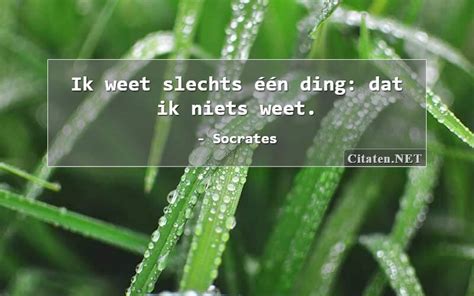 Citaten Van Socrates Citaten Quotes Uitspraken En Wijsheden