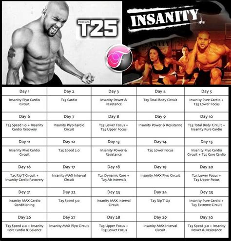 Shaun T Insanity Workout Calendar Jinny Lurline