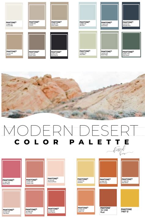 Modern Desert Aesthetic Color Palette Modern Southwest Decor Modern