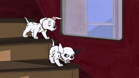 101 dalmatians, Comedy, Adventure, Family, Dog, Puppy, 100, Dalmatians ...