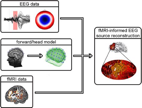 Illustration Of Fmri Informed Eeg Source Reconstruction To Estimate