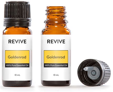 Goldenrod Essential Oil Revive Essential Oils